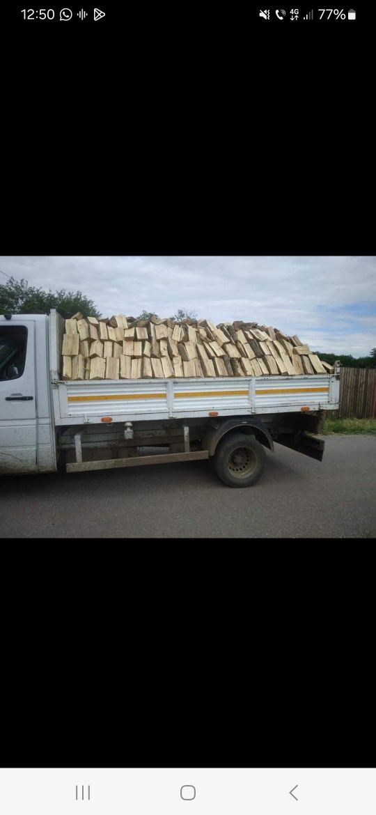 Vand Lemne de Foc de orice esenta  
Stejar 700 
Salcam 700
Plop 450
Sa