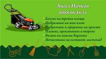 Градинарски услуги, озеленяване и поддръжка, област Пловдив!!!