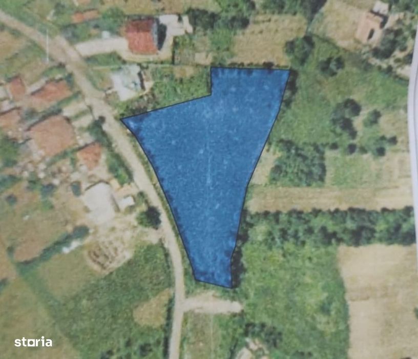 Teren / Jiblea Veche / Calimanesti /