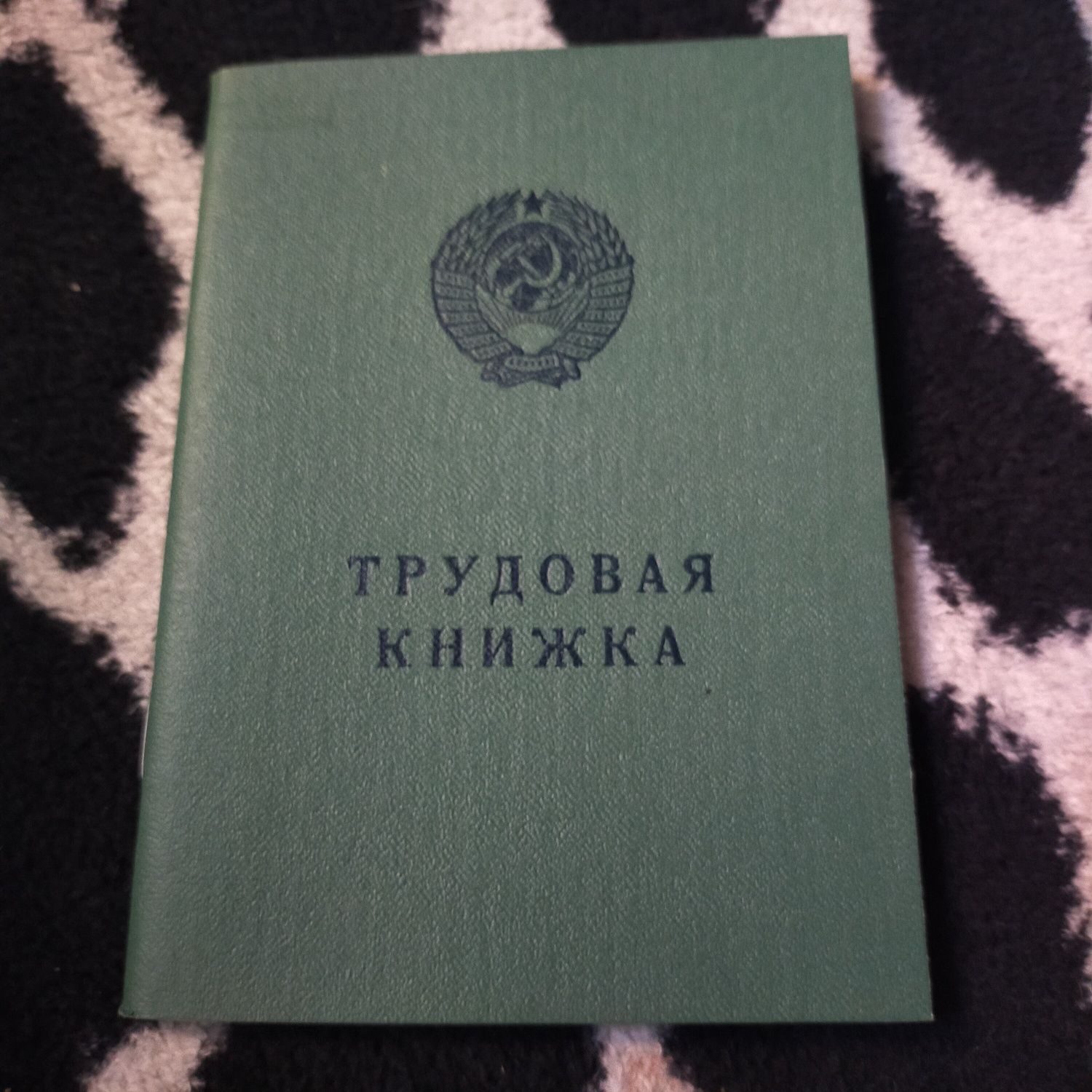 *Трудовая - книжка.*