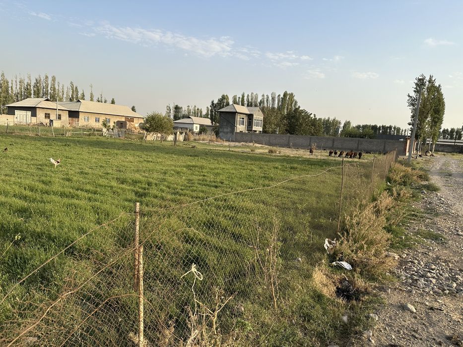Ohangaronda 12 sotix yer maydoni sotiladi.