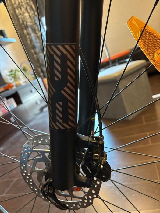 Bicicleta Pegas romaneasca hardtail Size L