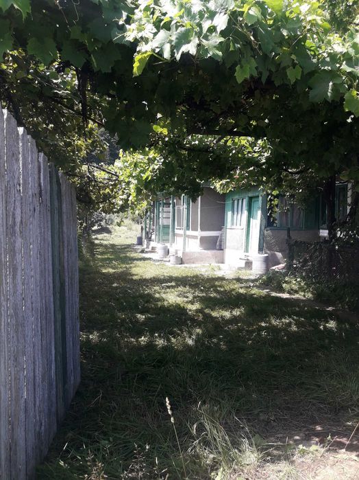 Vând casă în Piatra Neamț