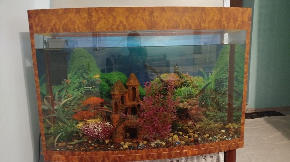 Akvarium sotiladi. Ofis, Uy va Loundry uchun ajoyib imkoniyat va tanlo