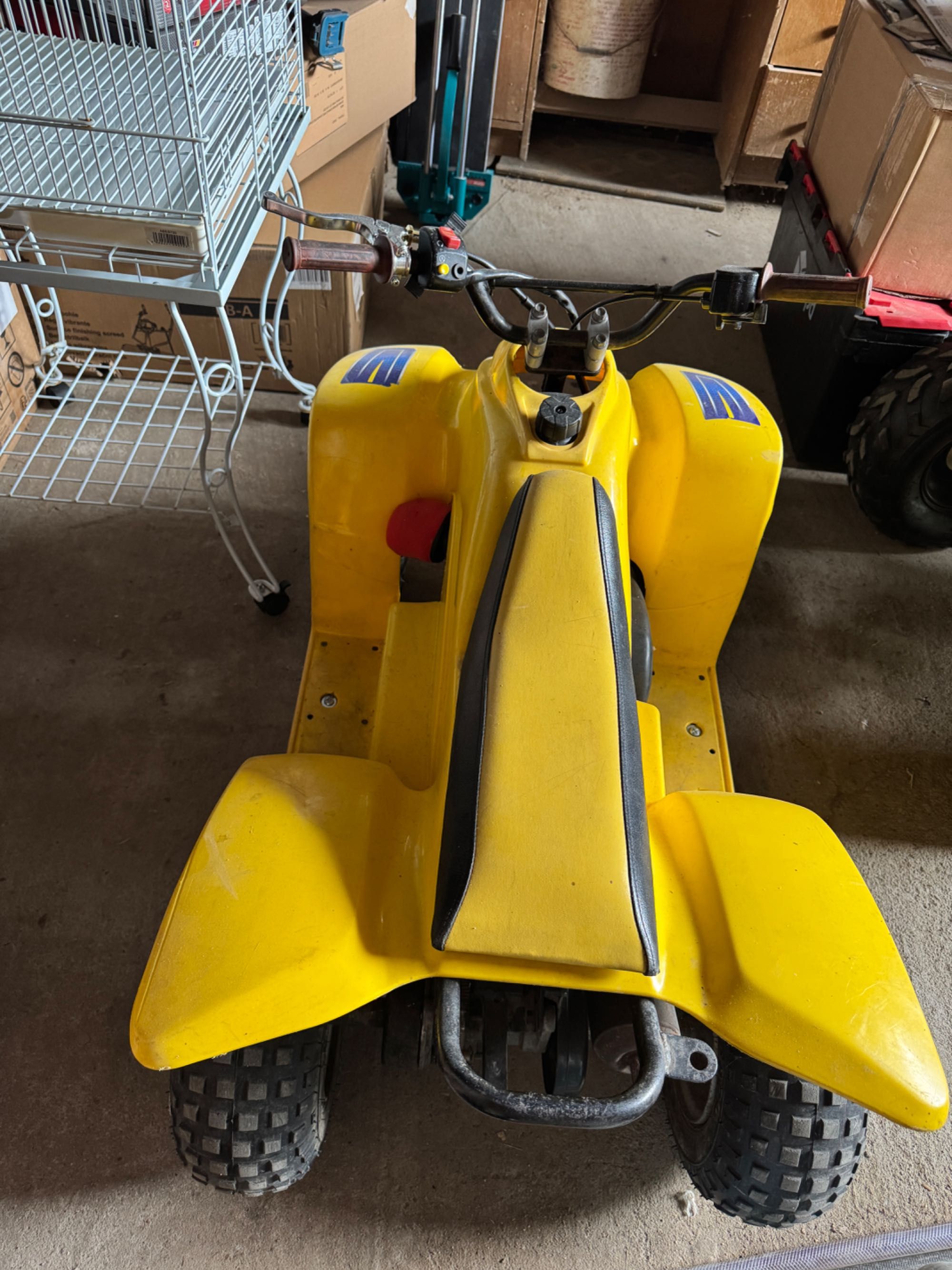 Atv copii Quadzilla buzz