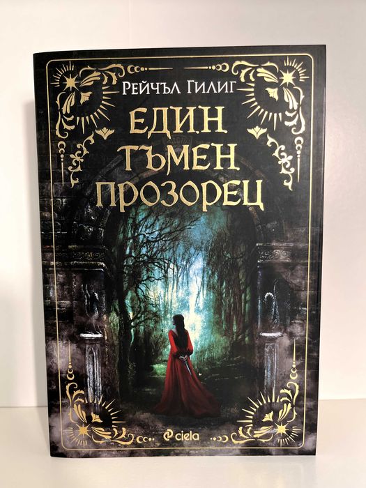 Един тъмен прозорец - Рейчъл Гилиг