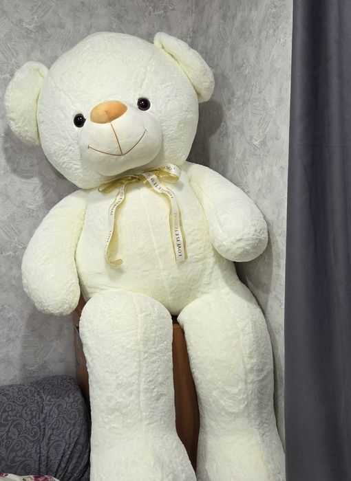 Продам нового медведя