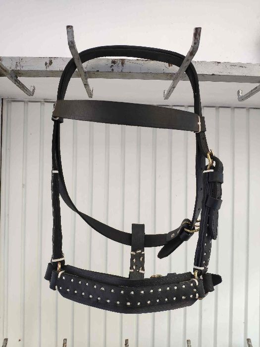 capastru ECVIDEE/BOVINE | art. premium, lucrat din piele ⟣GARANTIE ⁴⁸