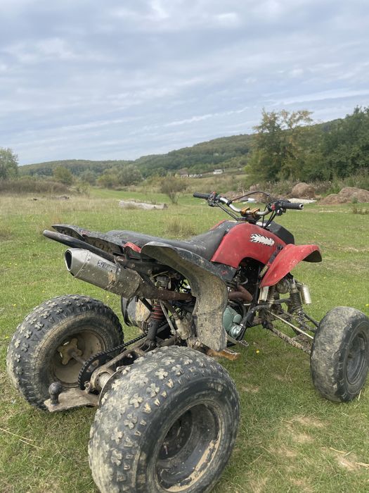 vand bashan 250cc