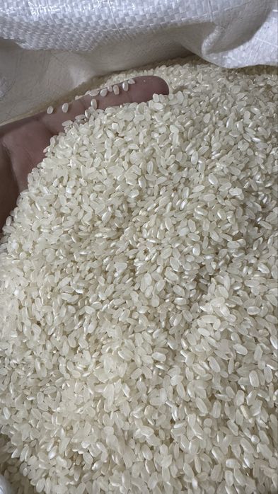 Guruch Nukus, Guliston, Lazer