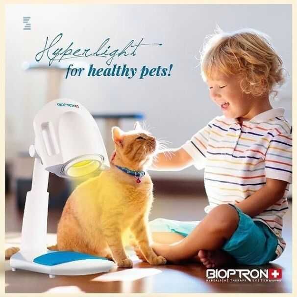 Zepter Bioptron Pro.1, nou, suport de masa,set 7 lentile color therapy