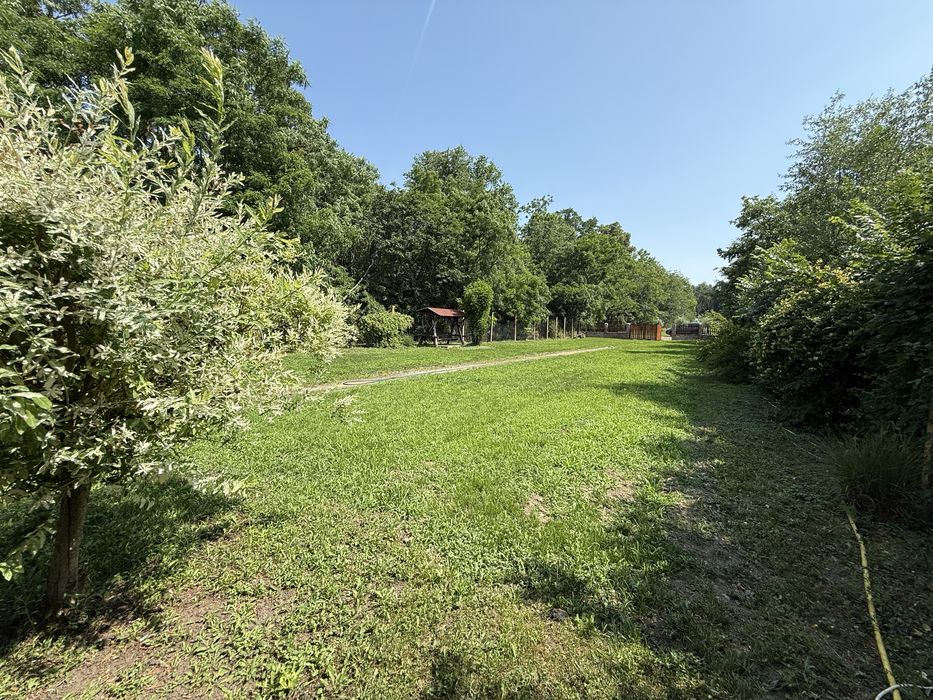 Casă rustică în pădure – Colonia Utviniș, Zimandcuz, Arad