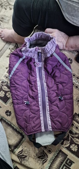 Продам безрукавку для мопса.