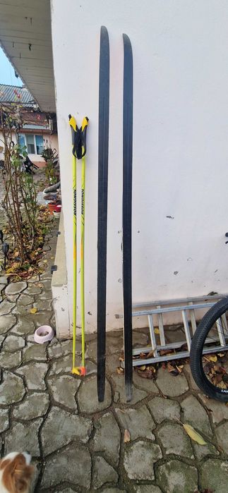 Schiuri fond atomic densolite core motion 46 , lungime 185cm.Plus bete