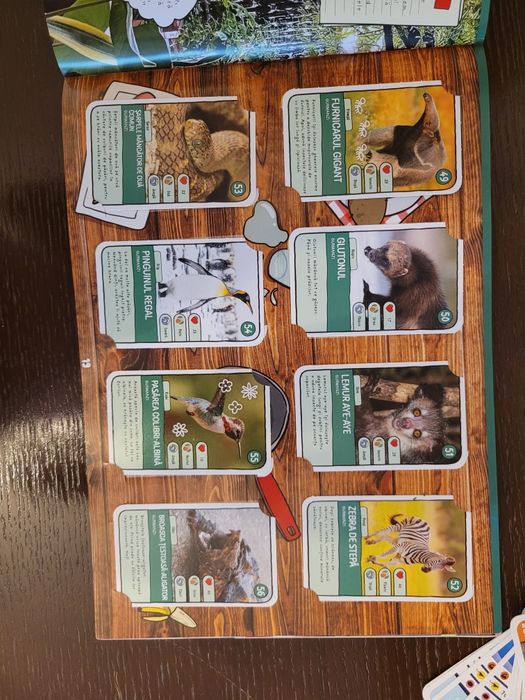 Catalog mega image completat