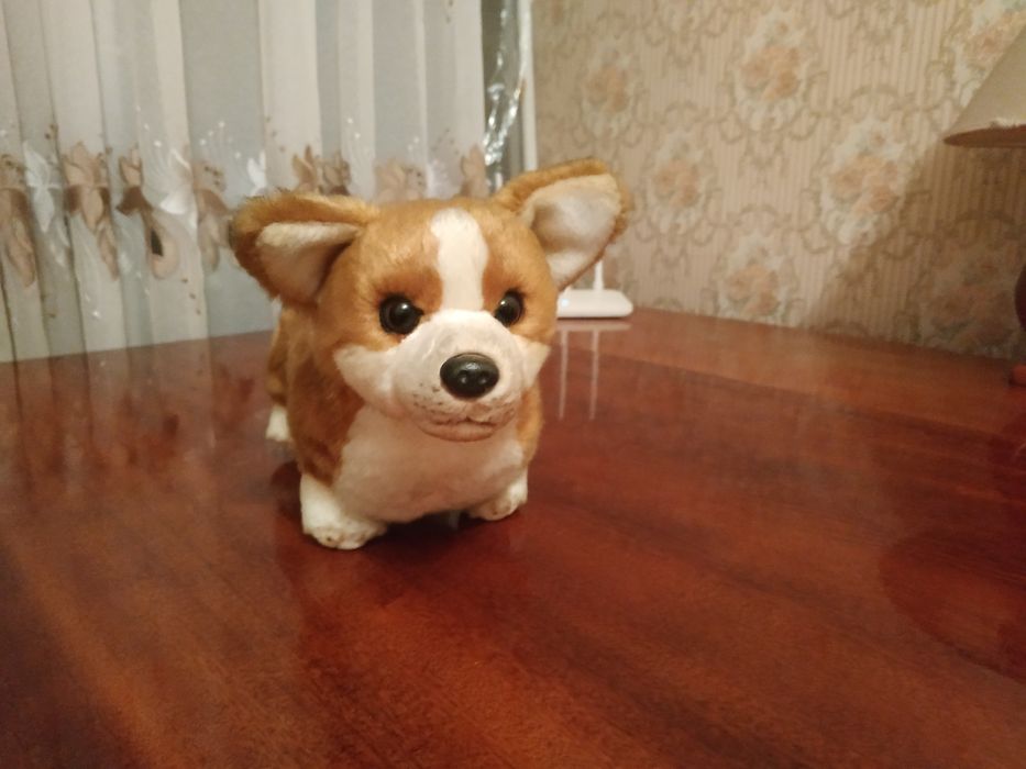 Продаю.мягкую игрушку собачку маленькая