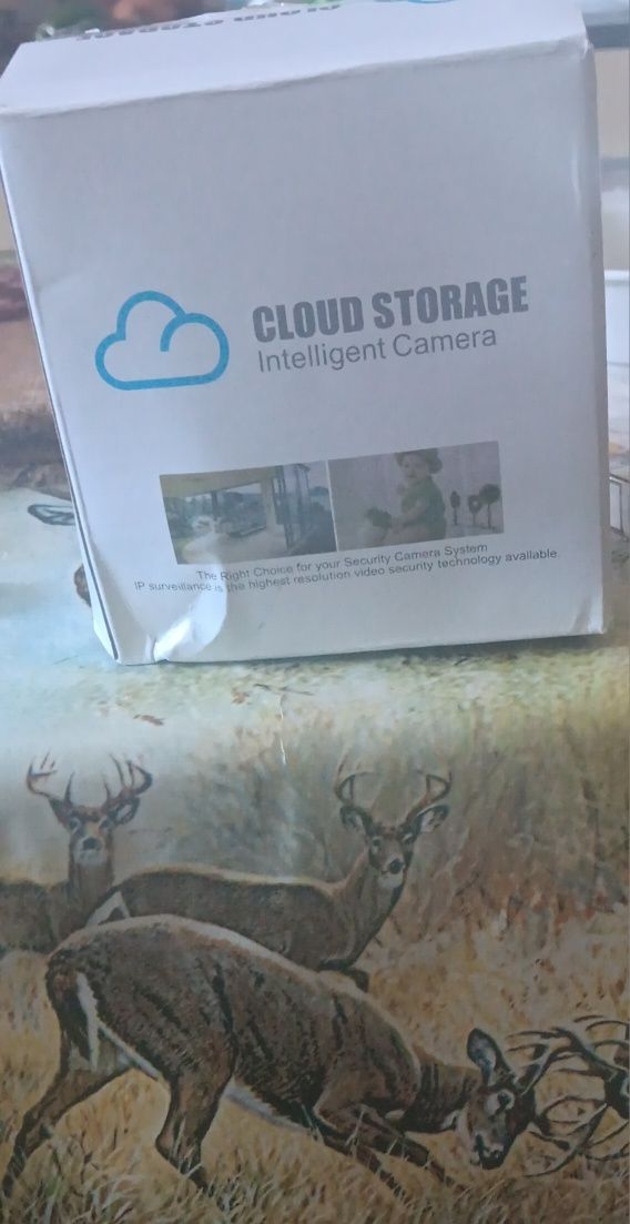 CLOUD STORAGE intelligent camera