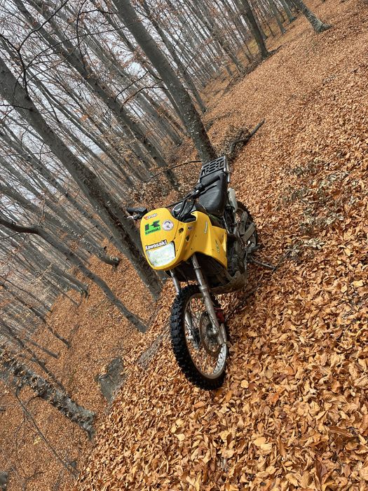 Kawasaki kle de padure-câmp