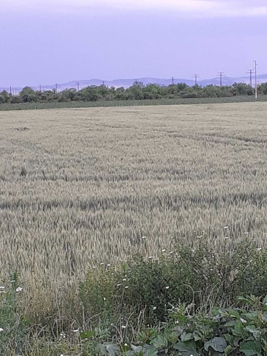 Продава имот гр. Поморие, м. Изравнителя