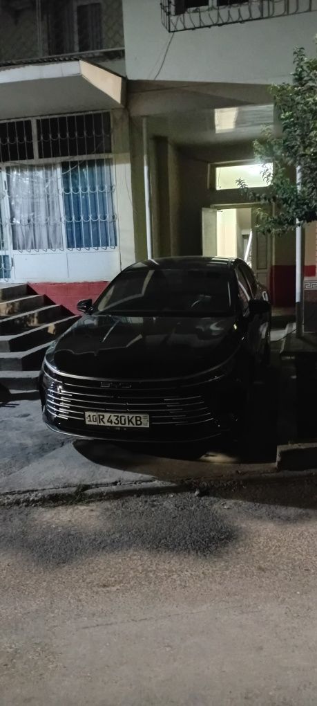 Byd chazor 55km 2024