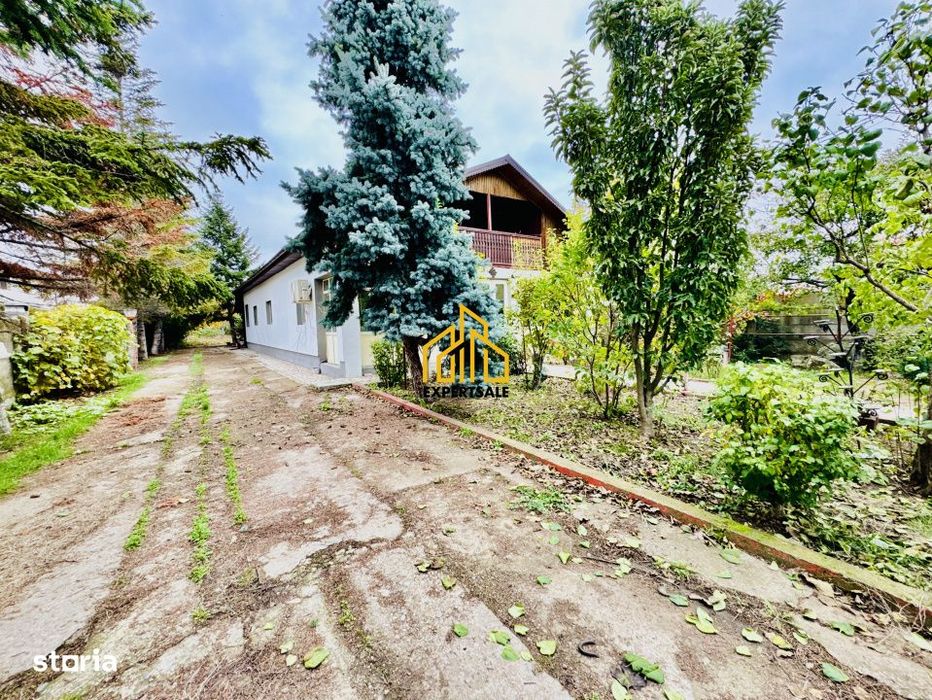 Casa Domnesti Central/ 6 Camere/ 1.500 Teren/Utilitati/Pisicna