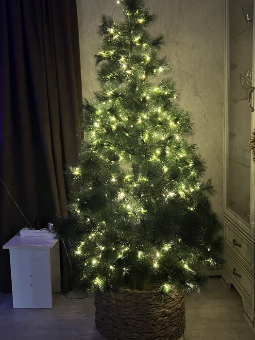 Ёлка новогодный!