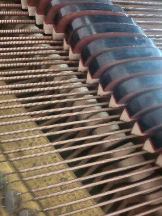 Петроф роял кабинетен роял