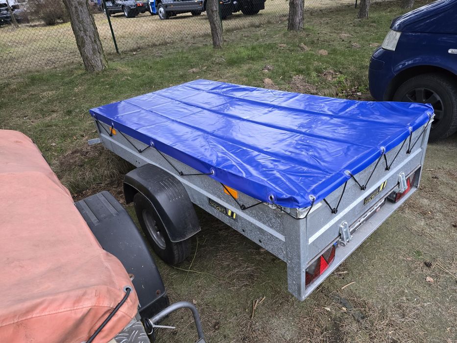 Ремарке нов внос Германия