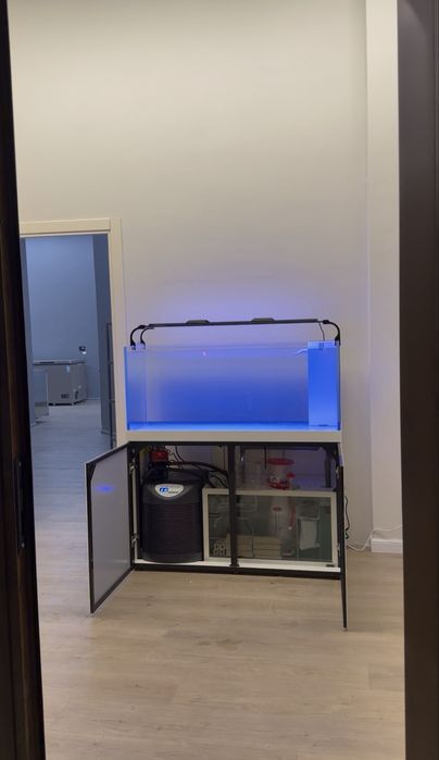 Обслуживание морских и прессных аквариумов,Чистка аквариумов