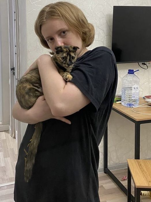 Котенок вислоухий, девочка