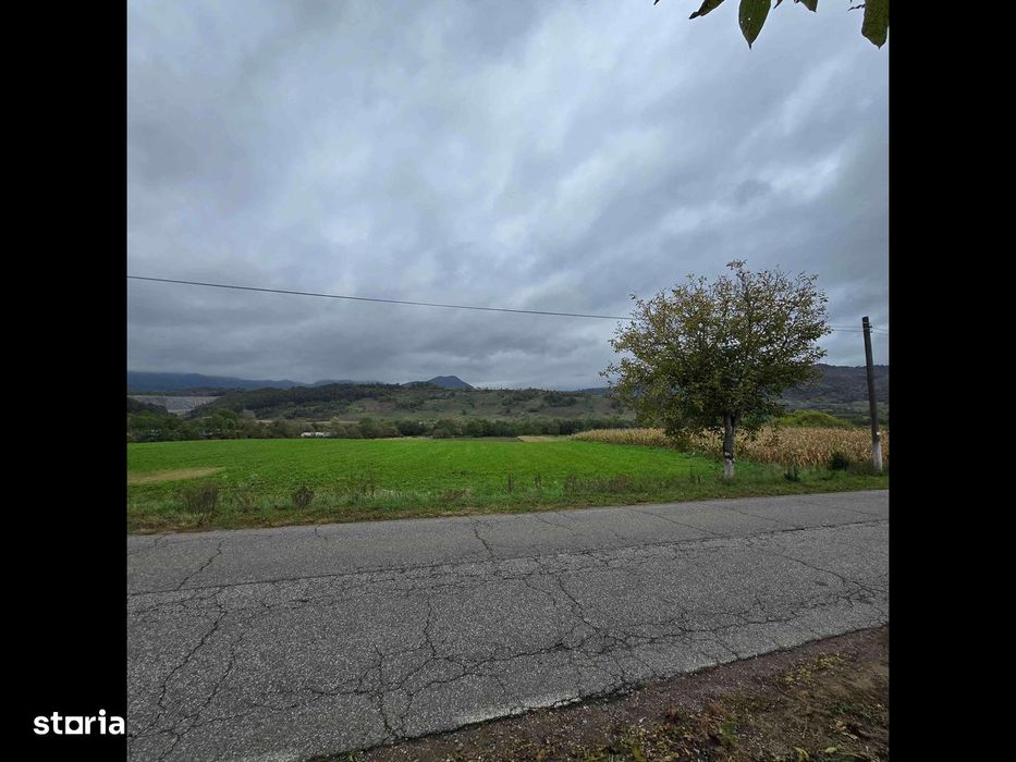 Vând teren drept la asfalt Certej.