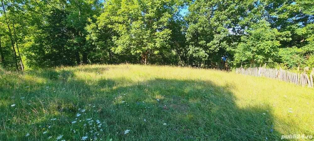 Vand teren extravilan 4715 m² (T 27, parcela F 206) in comuna BERTEA
