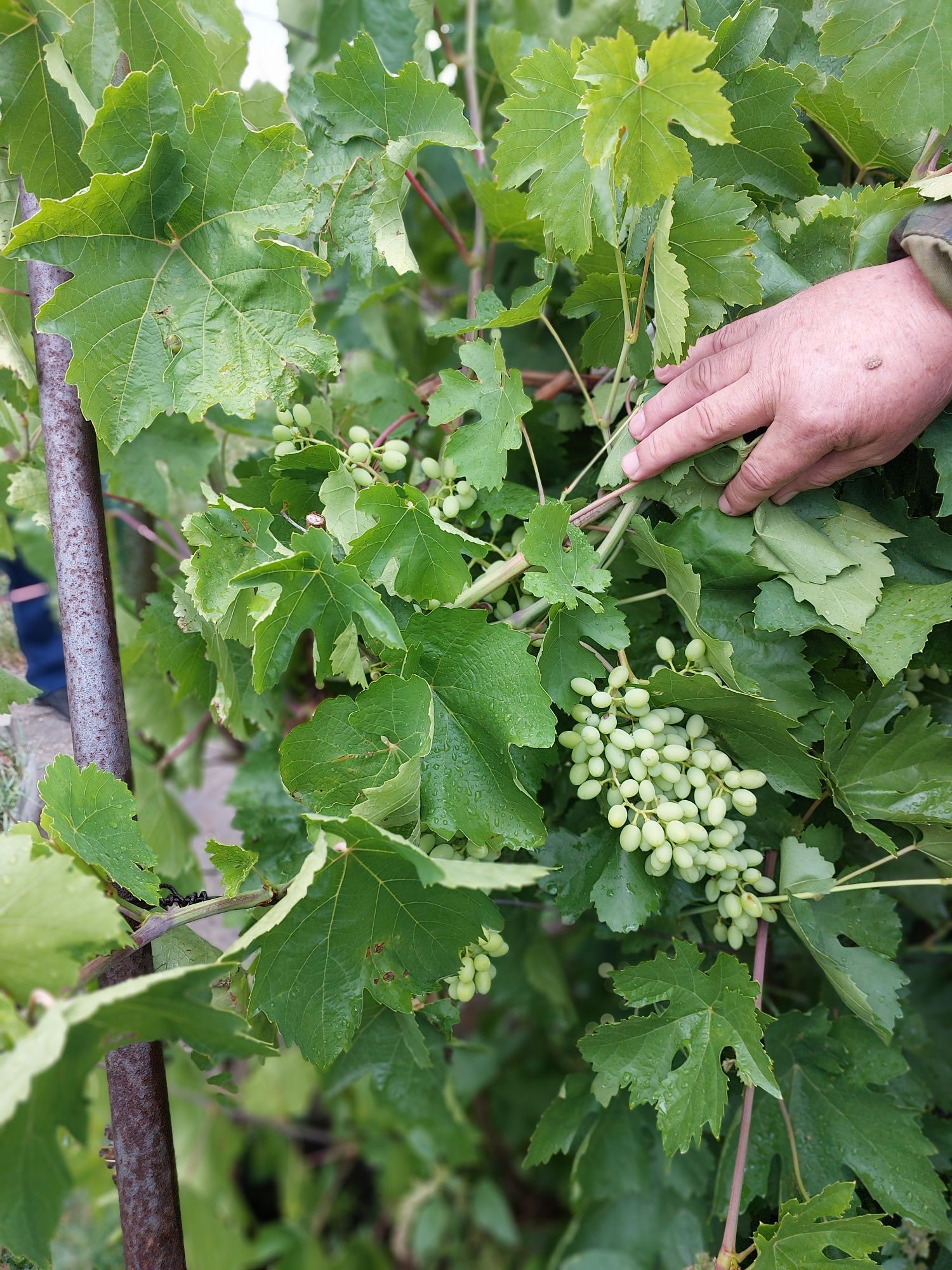 Продам дачу район  п.Ахмирово