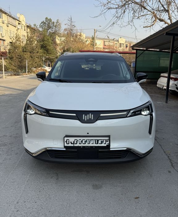 Weltmeister W6 Electro 520km 2021/22