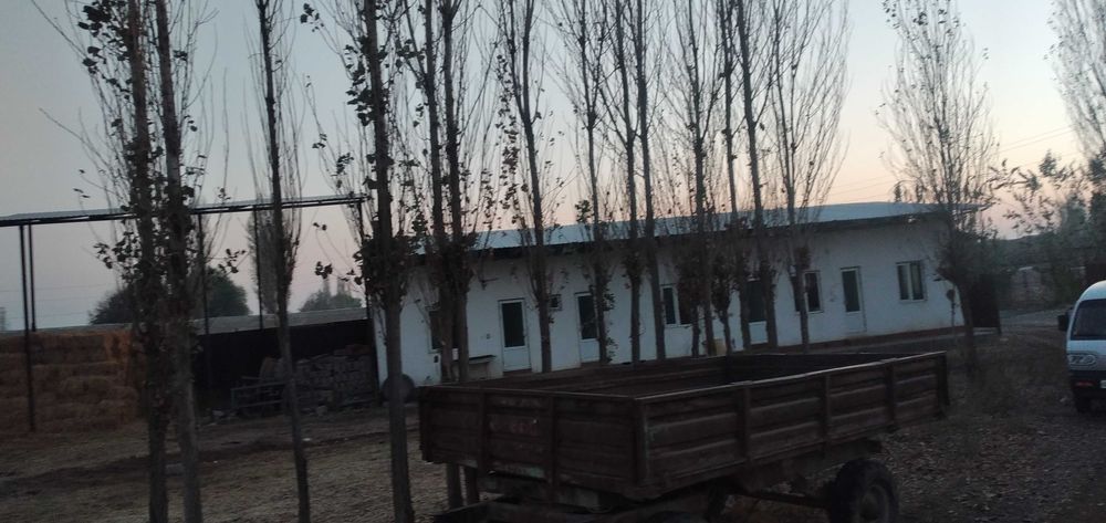 Сдается в аренду ферма