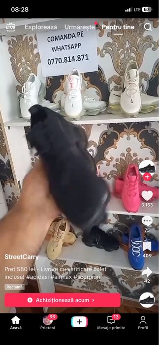 iphone 11 64 gb  scimb sa vand