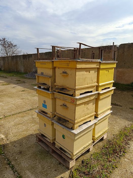 Пчелни кошери с магазини