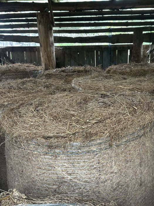 Baloti de lucerna si lemne