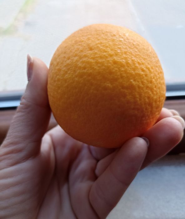 Портокал"Валенсия"