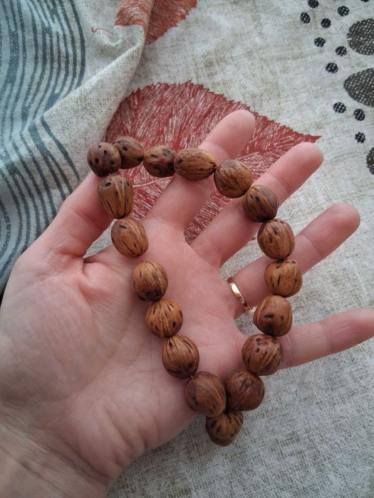 Бровница Дълголетие