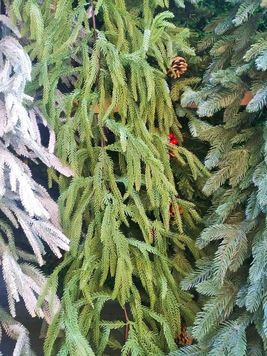 Гирлянда штора -мишура,Роса,искусственный  снег,сосульки,Ветки ели зас