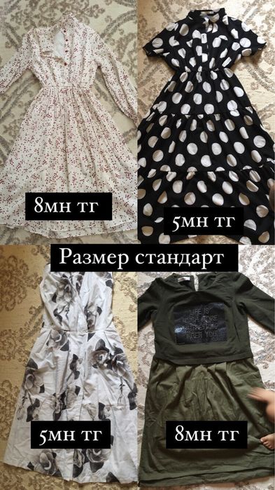 Новый койлектер сатылады