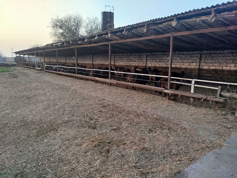 Ишлаб турган ферма сотилади