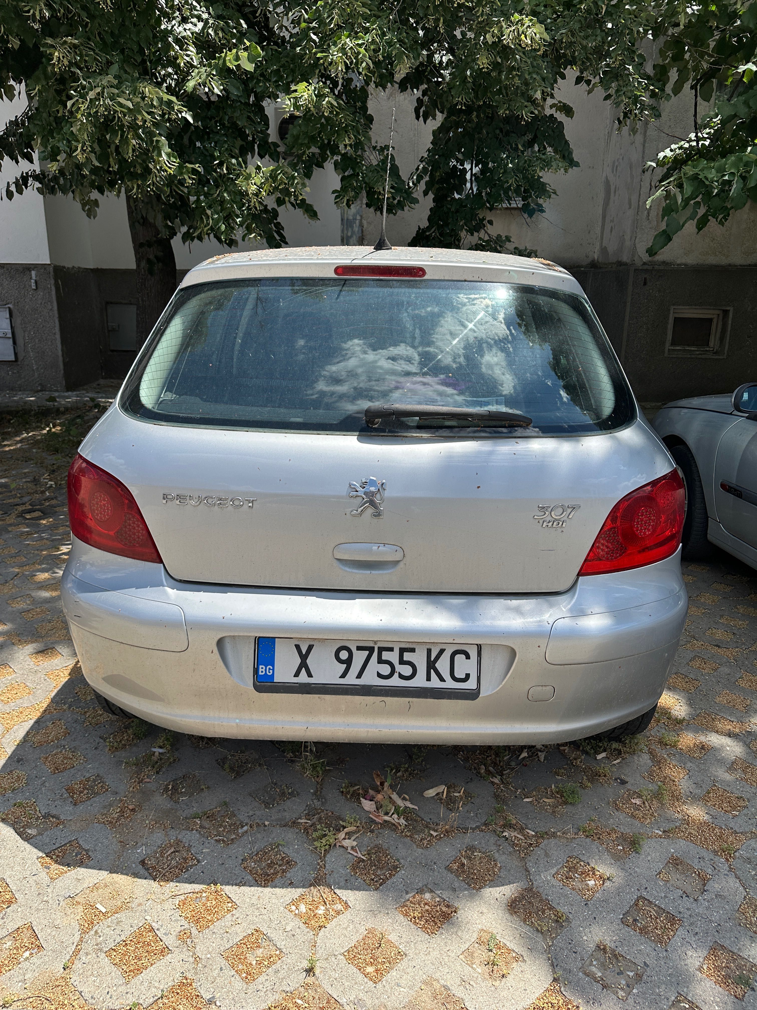 Peugeot 307 2007