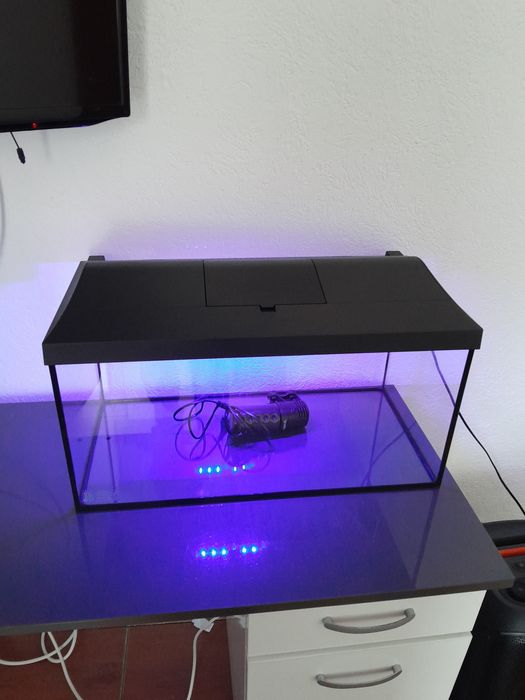 Acavriu aquael aproape nou