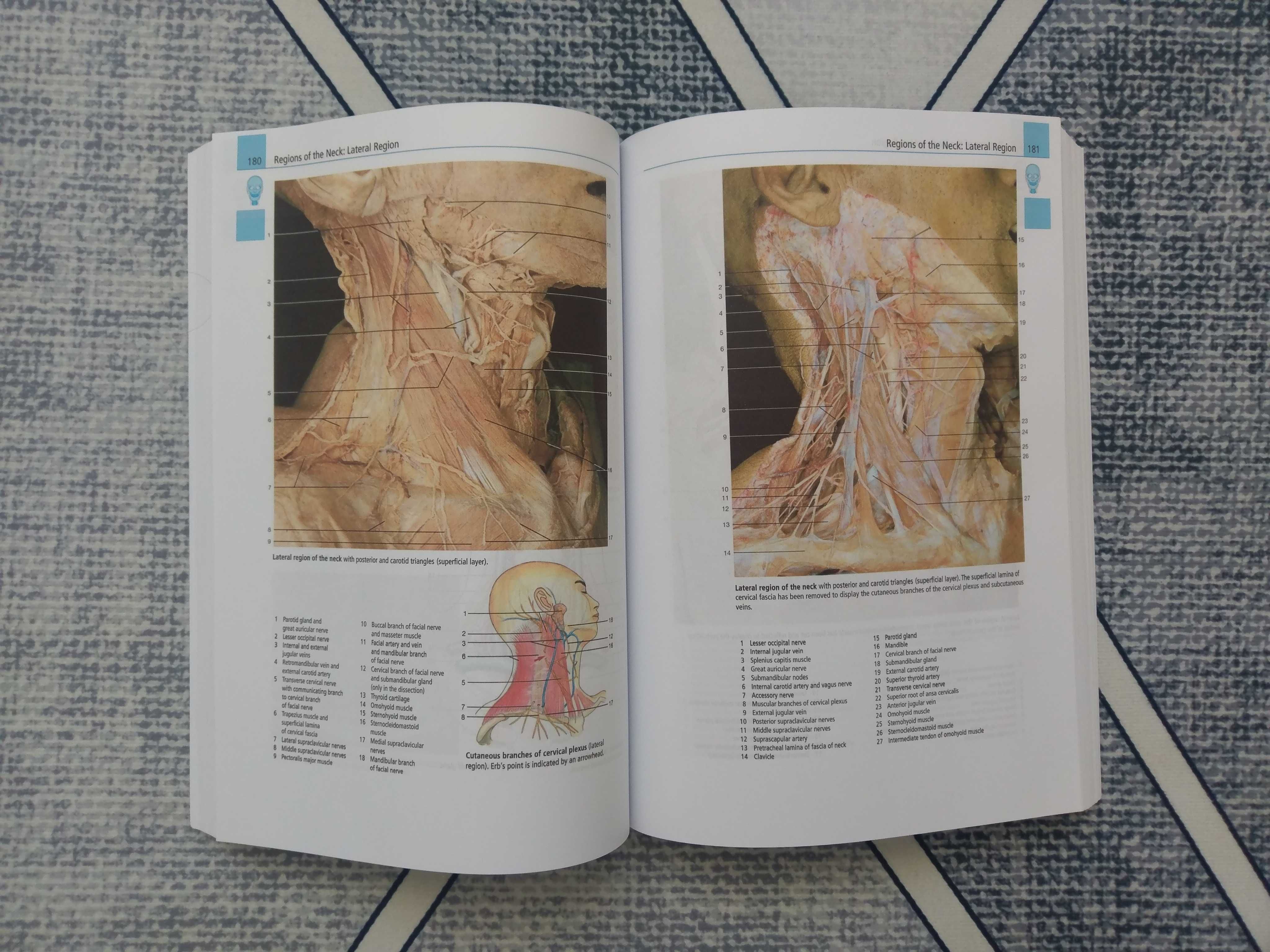 Anatomy: A Photographic Atlas - Rohen, Chichiro ed. 8 - atlas disectie