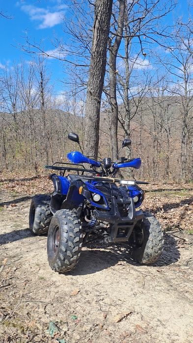 vand atv 125 3+1