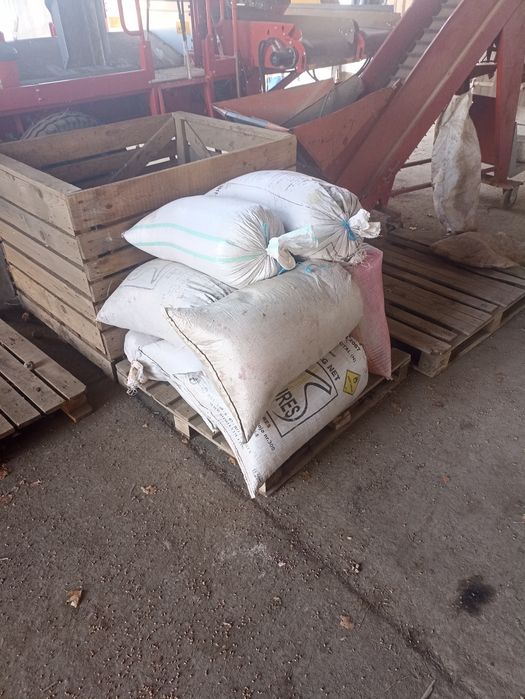 Samanta grau Tika taka C2