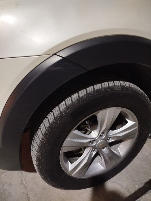 Mowin uzimniki holati zur