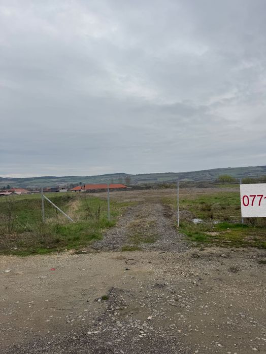 Teren intravilan 1,5 hectare – Nusfalau, lângă A3